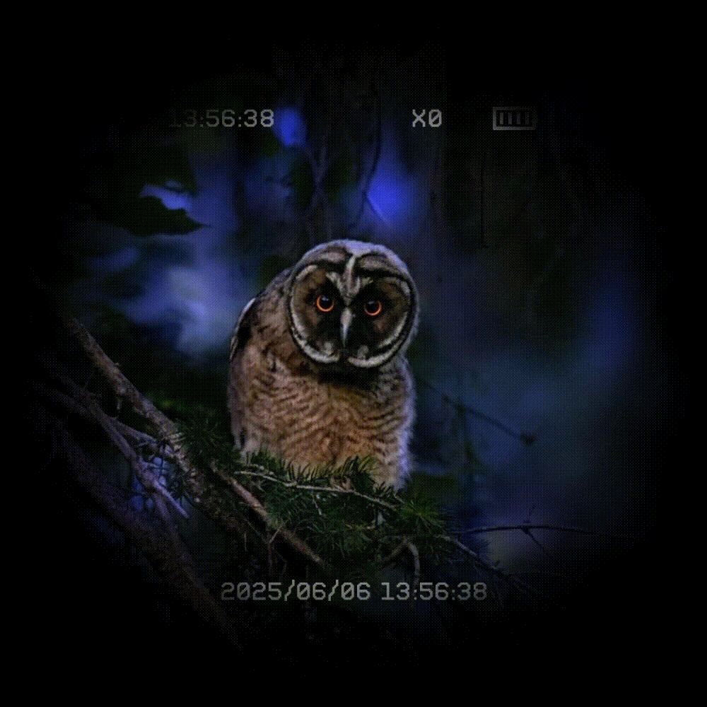 The most comprehensive guide of night vision devices
