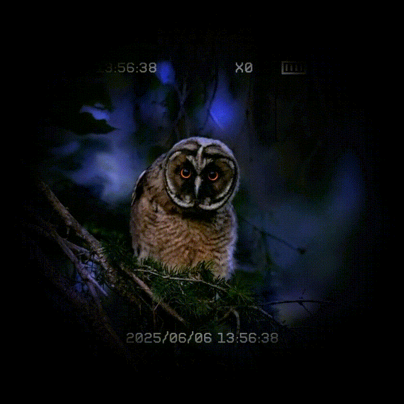 The most comprehensive guide of night vision devices |CIGMAN